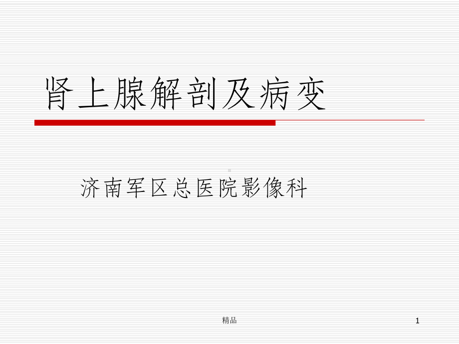 肾上腺解剖及病变课件-2.ppt_第1页