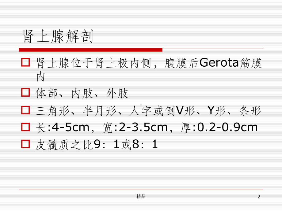 肾上腺解剖及病变课件-2.ppt_第2页