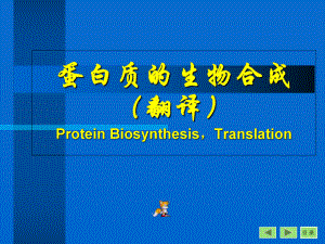 生物化学蛋白质的生物合成翻译课件.ppt