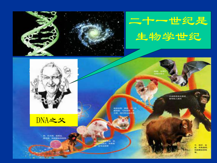 生物学发展的现状与前景课件.ppt_第2页