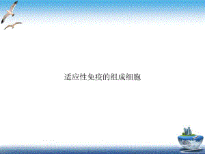 适应性免疫的组成细胞课件-2.ppt