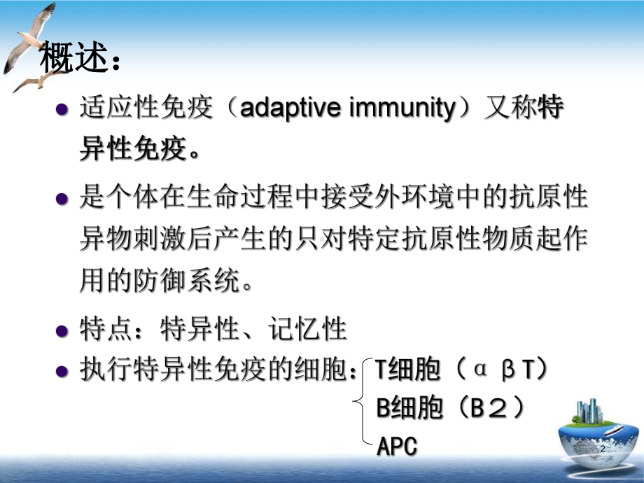 适应性免疫的组成细胞课件-2.ppt_第2页