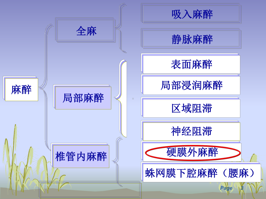 硬膜外麻醉医学课件.ppt_第3页