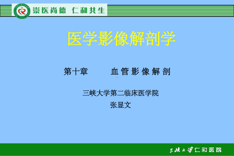 血管解剖学课件.ppt_第1页