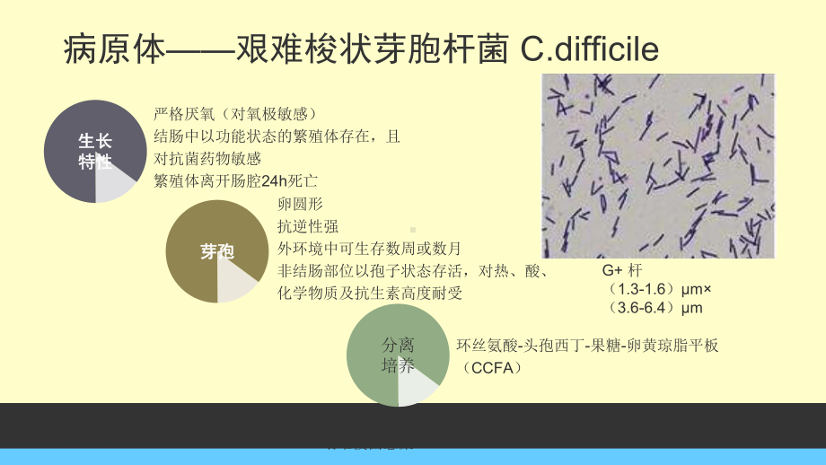 艰难梭菌感染培训课件.ppt_第2页