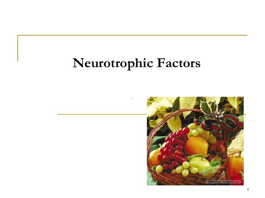 神经营养因子总结课件.ppt_第1页