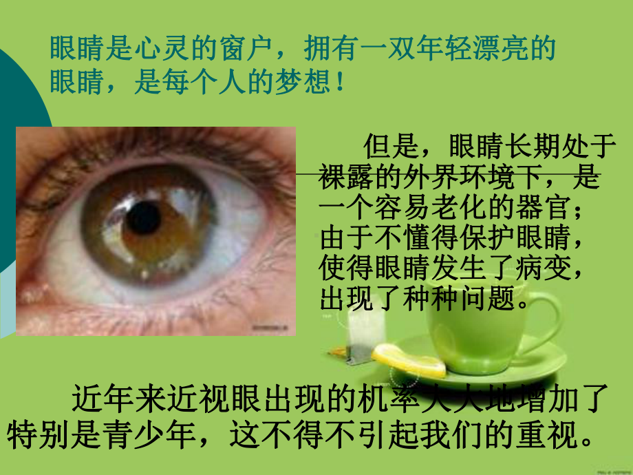 近视眼的形成与预防课件.ppt_第2页