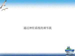 通过神经系统的调节我培训课程课件.ppt