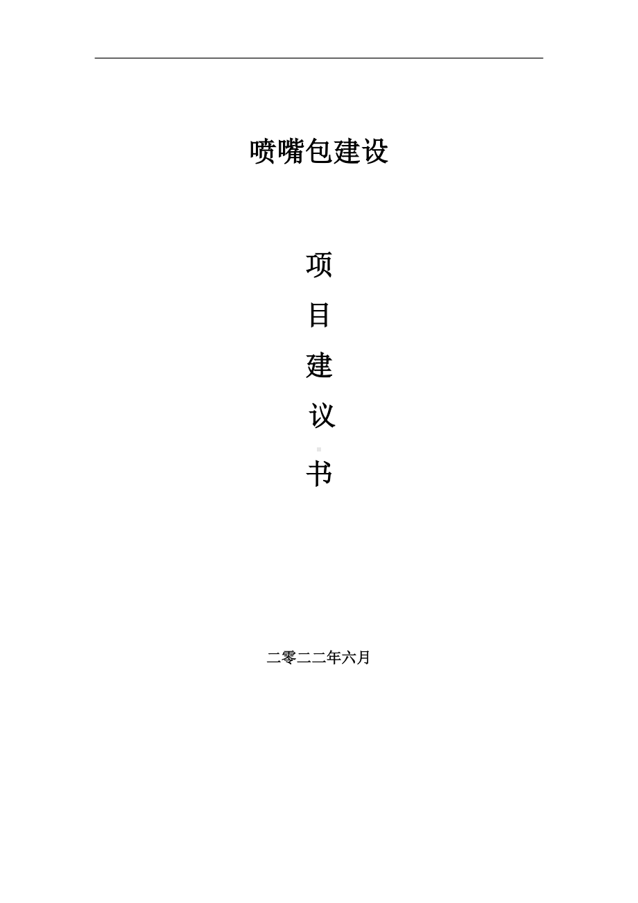 喷嘴包项目建议书（写作模板）.doc_第1页