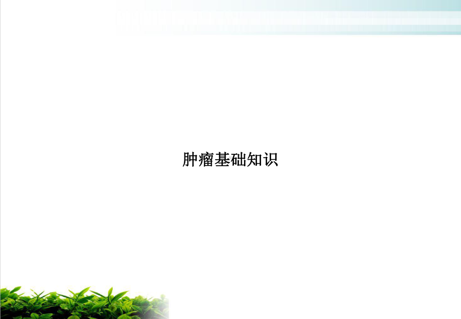 肿瘤基础知识示范课件.ppt_第1页