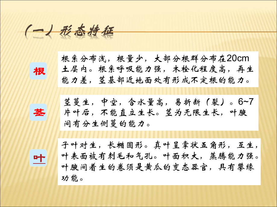 温室黄瓜栽培管理技术课件.ppt_第3页