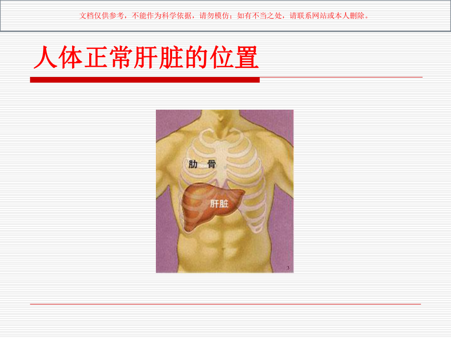 脂肪肝健康教育培训课件.ppt_第2页