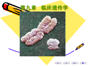 临床遗传学讲解课件.ppt