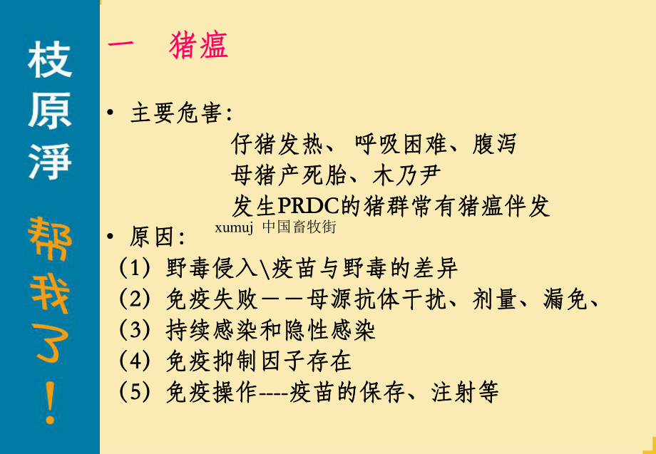 猪主要病毒性疾病的控制课件.ppt_第2页