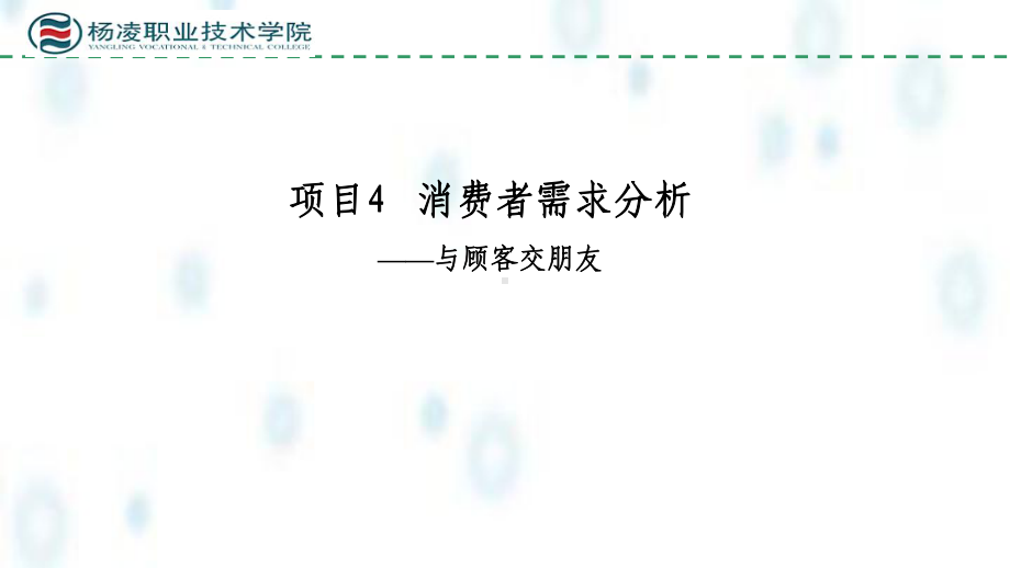 市场营销实务课件项目4消费者行为与消费者需求分析.ppt_第1页