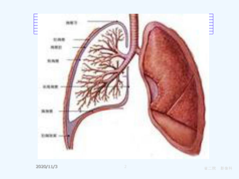 胸膜实性病变课件.ppt_第2页