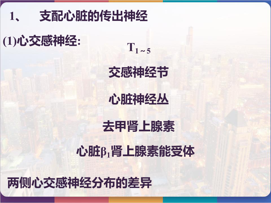 血液循环心血管活动的调节-课件.pptx_第2页