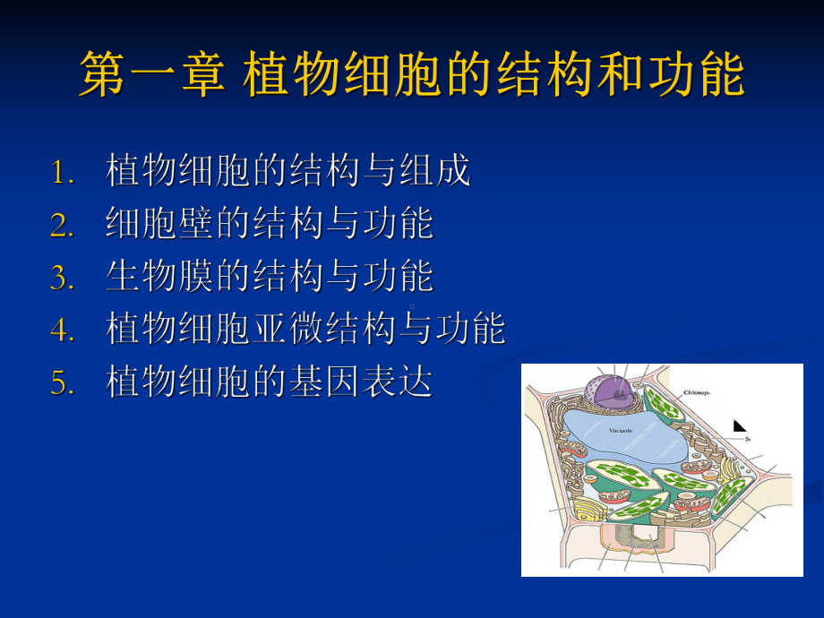 植物学课件第一章-植物细胞的结构与功能.ppt_第1页