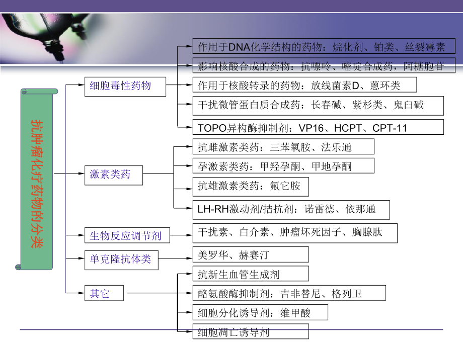 妇科化疗药物毒性反应与其护理措施课件.ppt_第3页