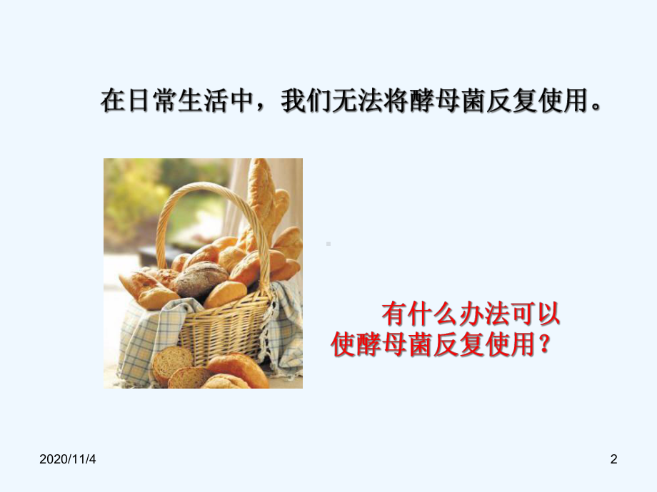 课题酵母细胞的固定化课件.ppt_第2页