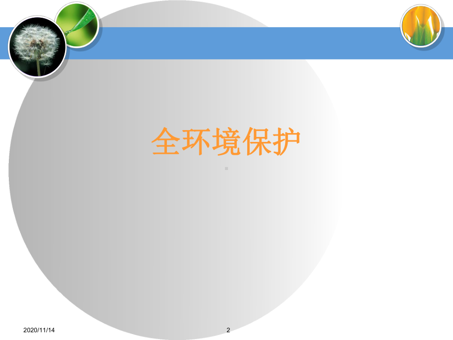 造血干细胞移植护理患友会课件.ppt_第2页