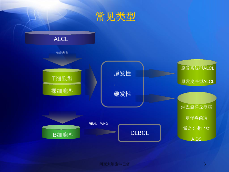 间变大细胞淋巴瘤培训课件.ppt_第3页