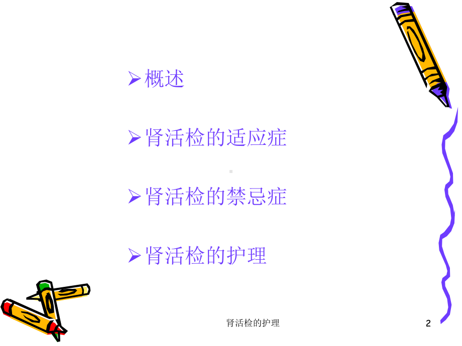 肾活检的护理课件.ppt_第2页