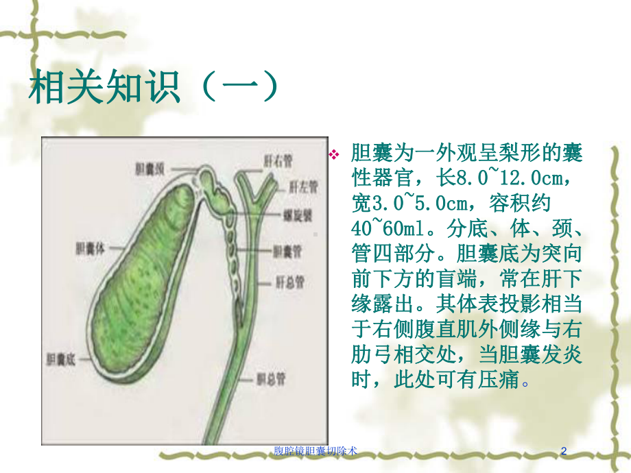 腹腔镜胆囊切除术培训课件.ppt_第2页