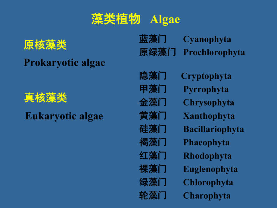 植物生物学-第二部分-第一章原核藻类课件.ppt_第2页