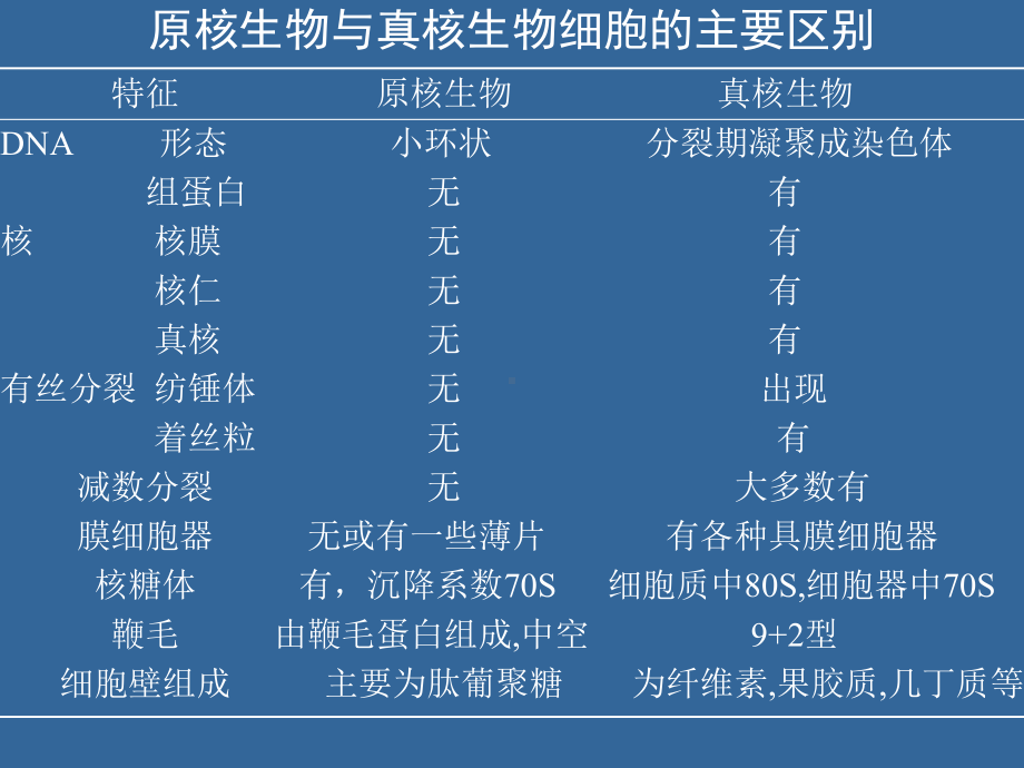 植物生物学-第二部分-第一章原核藻类课件.ppt_第3页