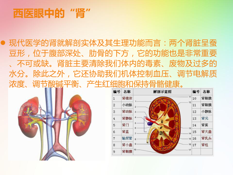 金水宝在慢性肾病中的疗效观察课件.pptx_第3页