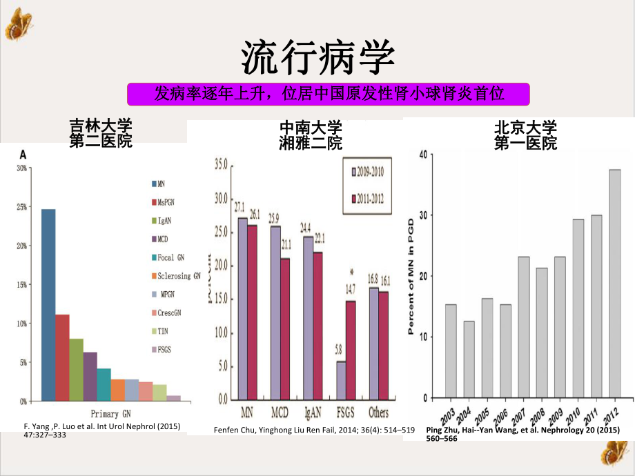 膜性肾病诊治进展课件.ppt_第3页