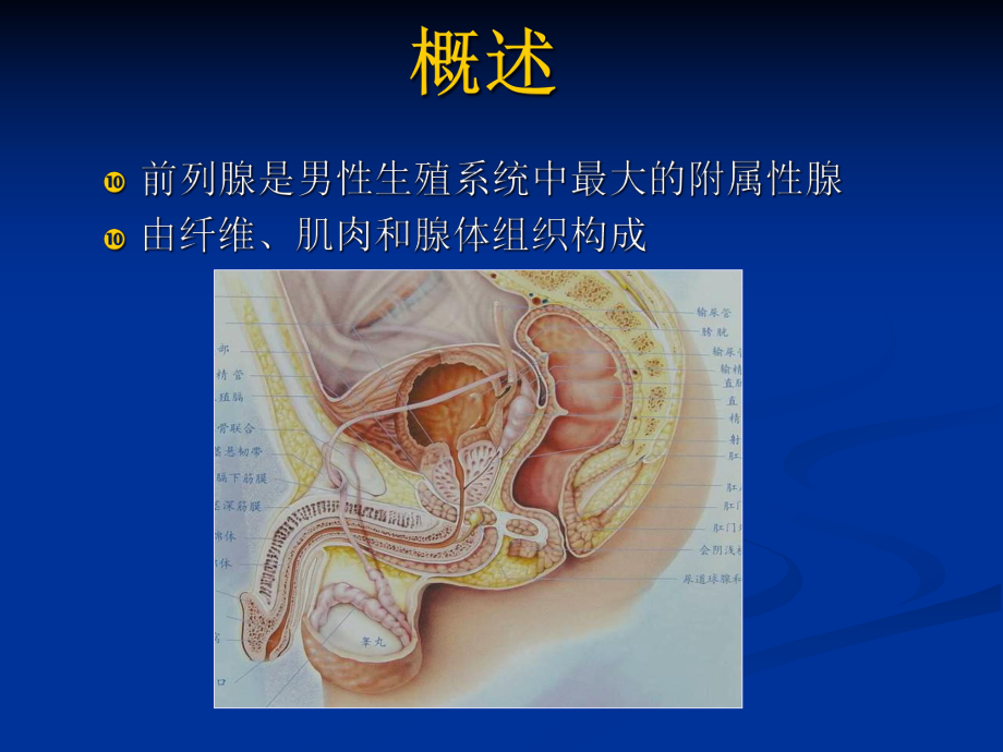 磁共振前列腺癌诊断标准课件.ppt_第2页