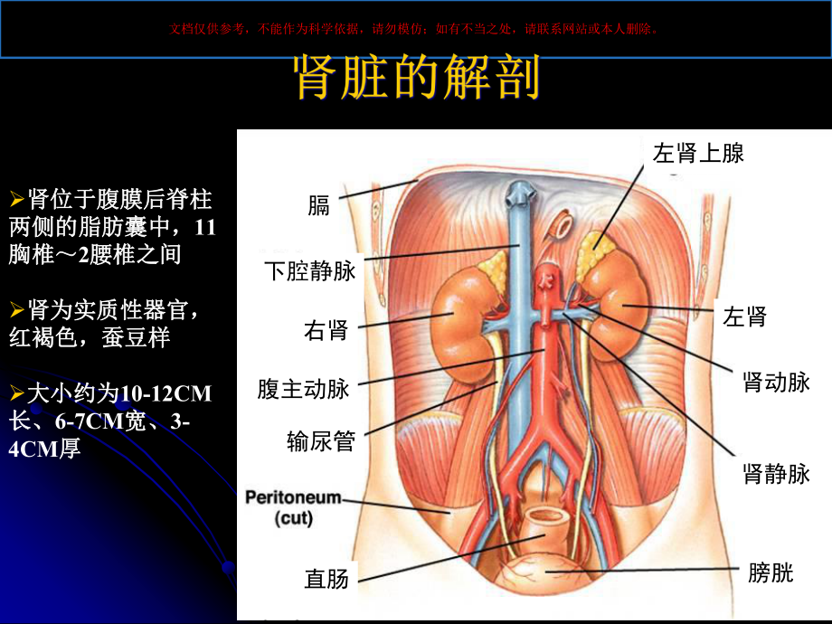 肾内科基础知识与高血压培训课件.ppt_第2页