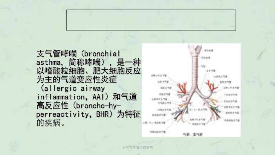 支气管哮喘护理查房课件1.ppt_第2页