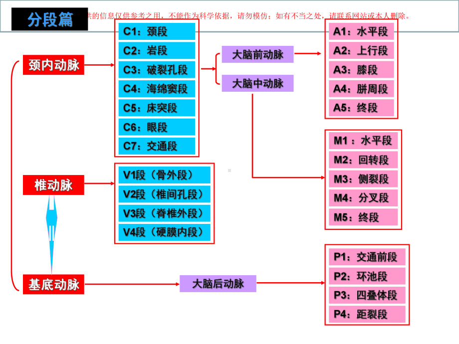 颅内动脉的分支与分段培训课件.ppt_第2页