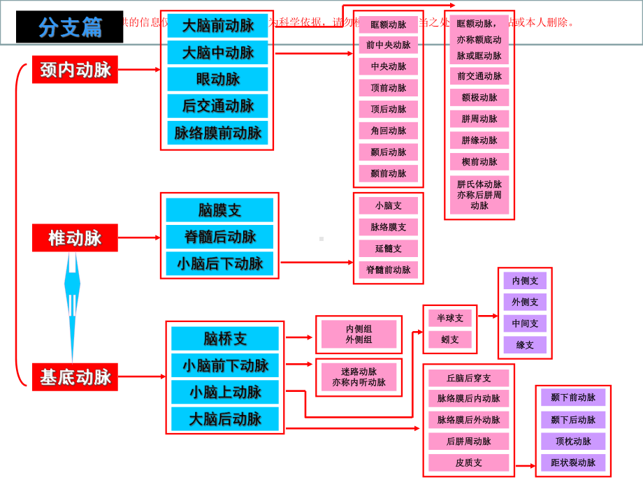 颅内动脉的分支与分段培训课件.ppt_第3页