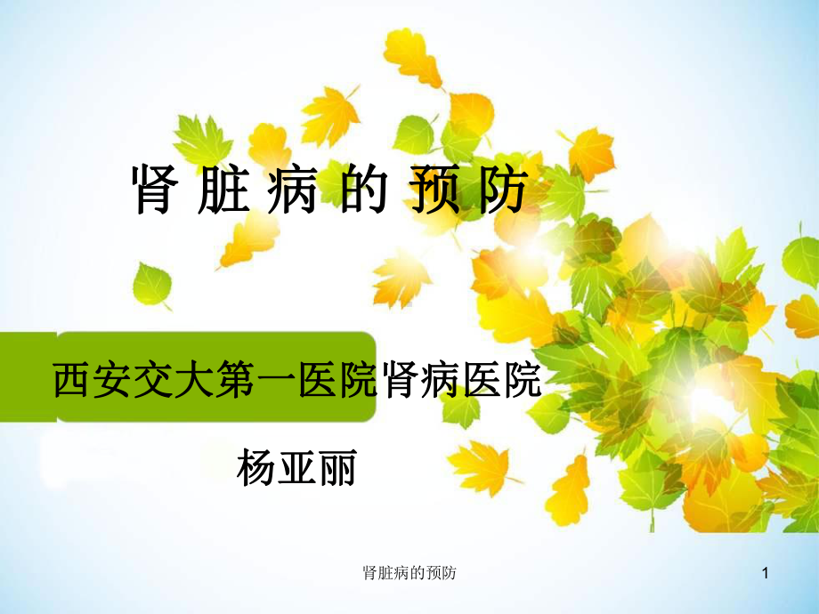 肾脏病的预防课件.ppt_第1页