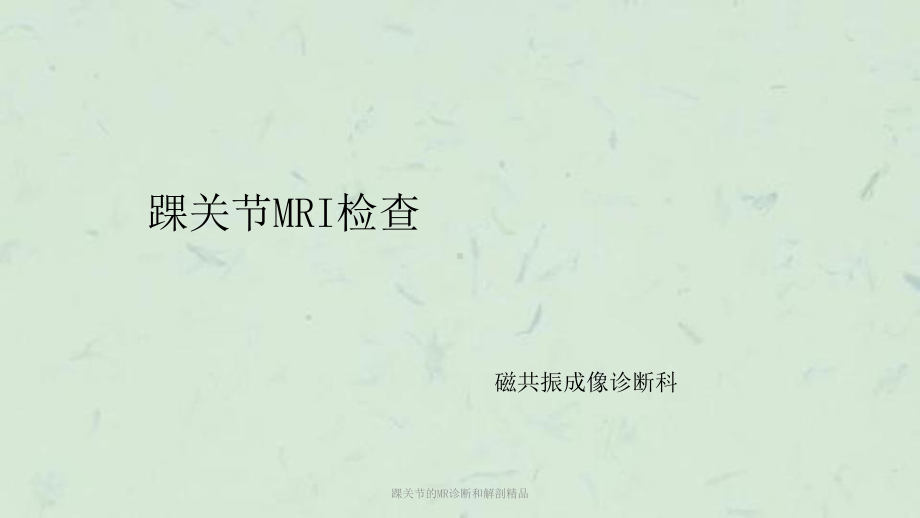 踝关节的MR诊断和解剖课件.ppt_第1页