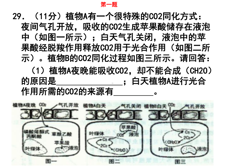 对点复习二(光合作用与呼吸作用)课件.ppt_第2页