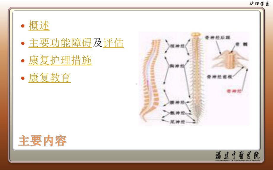 常见疾病的康复护理脊髓损伤课件.ppt_第2页