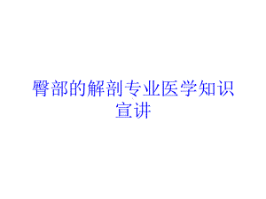 臀部的解剖专业医学知识宣讲培训课件.ppt