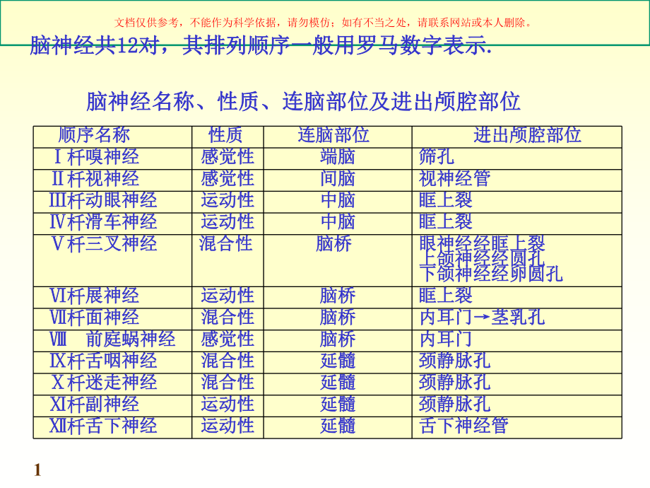 脑神经周围神经系统培训课件.ppt_第1页