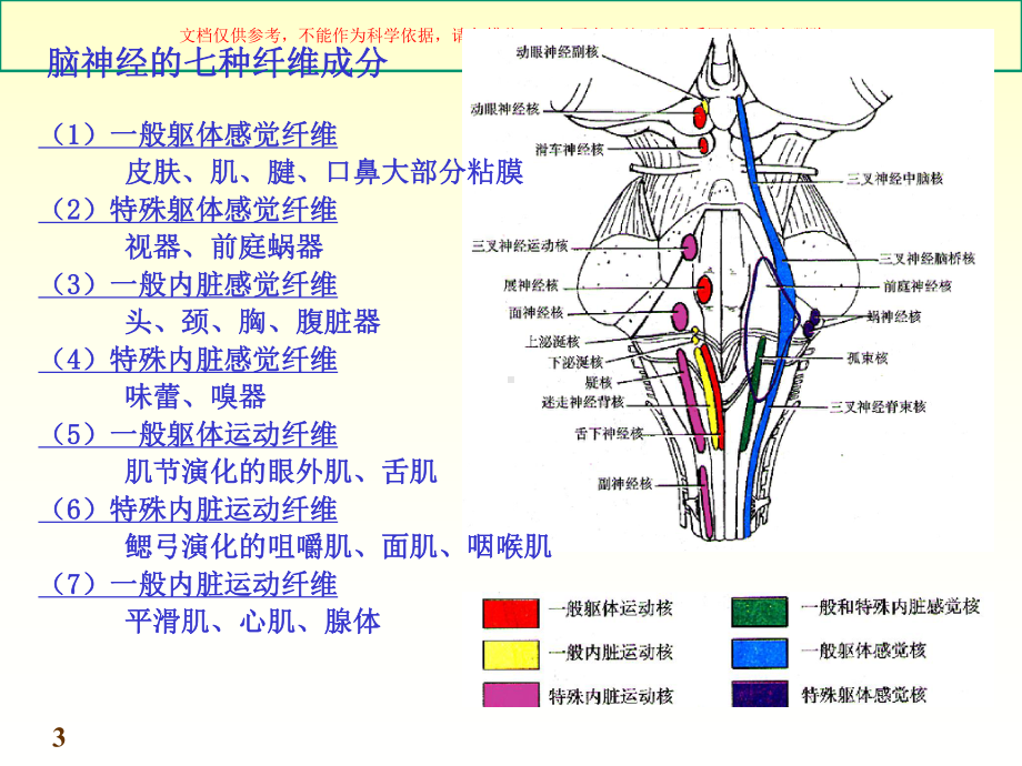 脑神经周围神经系统培训课件.ppt_第3页