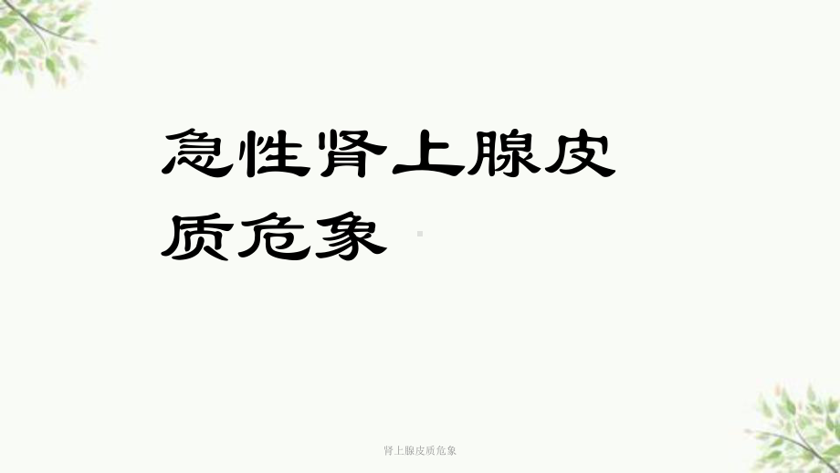 肾上腺皮质危象课件.ppt_第1页