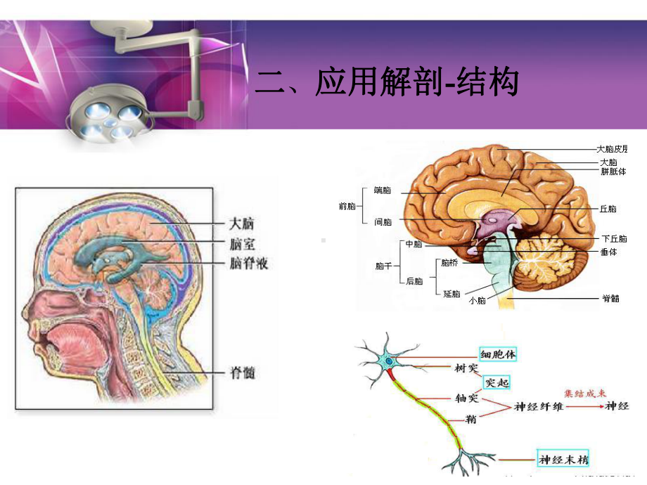 颅内肿瘤概述课件精美版.pptx_第3页