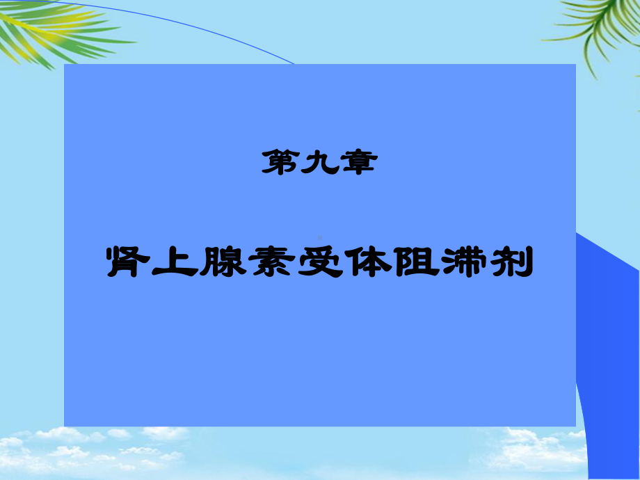 药理学课件：肾上腺受体阻滞剂全面版.ppt_第1页