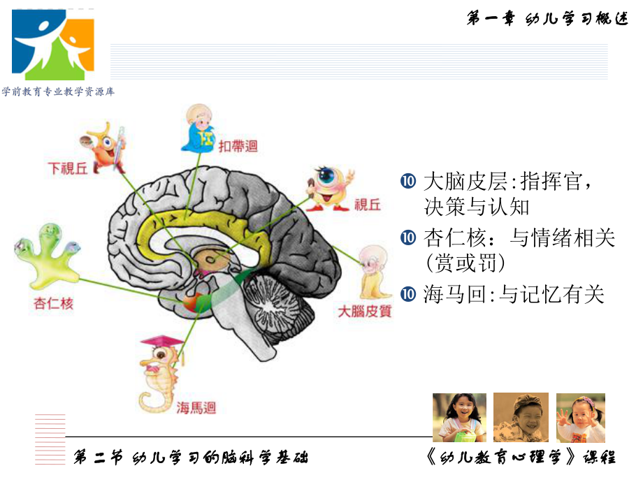 幼儿学习的脑科学机制课件.ppt_第3页