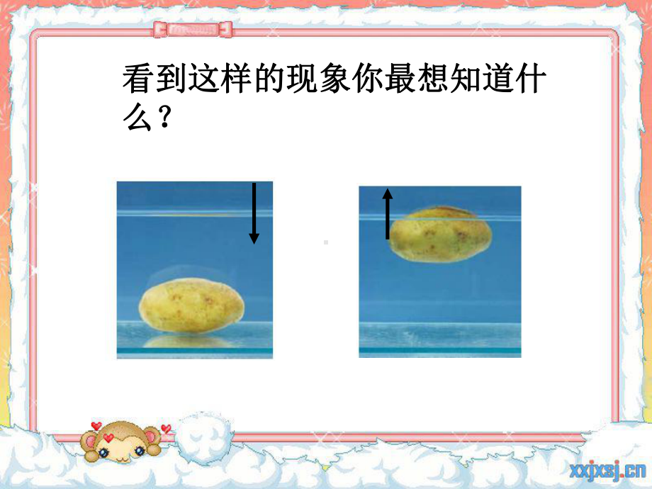 探索马铃薯沉浮的原因课件.ppt_第3页