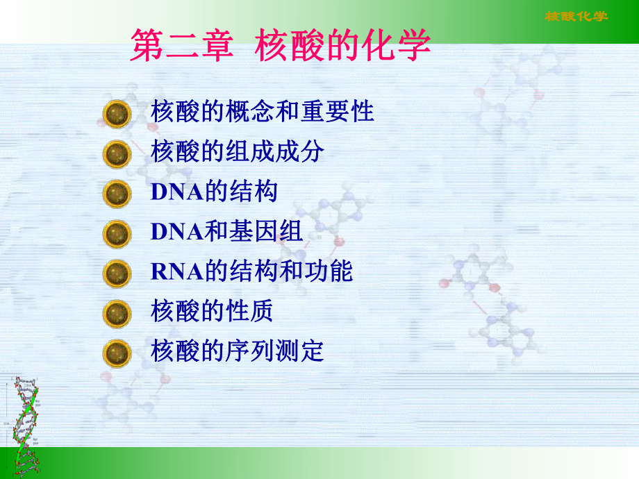 生物化学-第二章-核酸化学课件.ppt_第2页